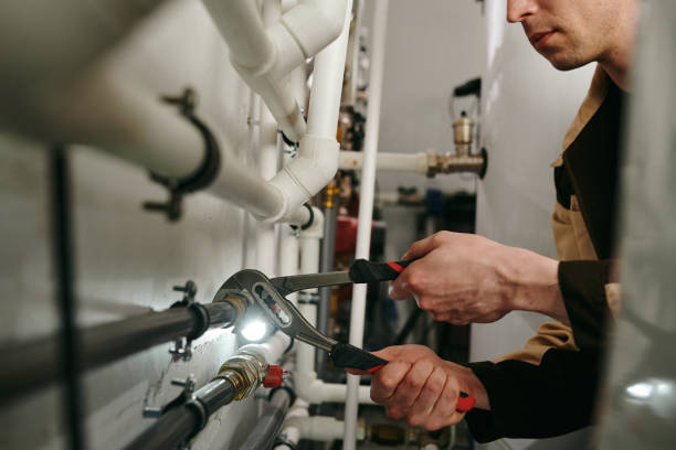 Best Plumbing Services Near Me  in Dekal, IL