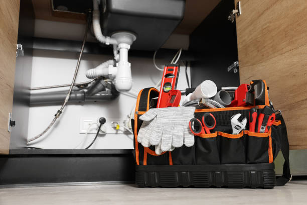 Best Shower Repair Services  in Dekal, IL